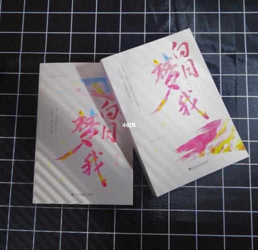 栖见白日梦我实体书