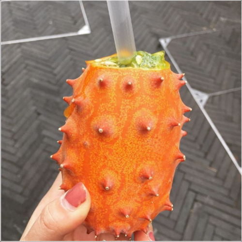 南非火参果孕妇老人下火低糖应季水果新鲜罕见奇异水果海参果