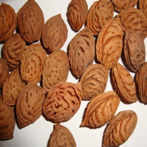 供应优质毛桃核