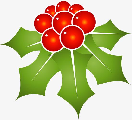 卡通红色冬青植物