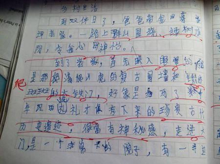 怎样写乡村趣事?_?(作文)350字左右