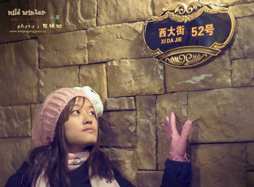 标题:mild winter--寻找温暖的方向