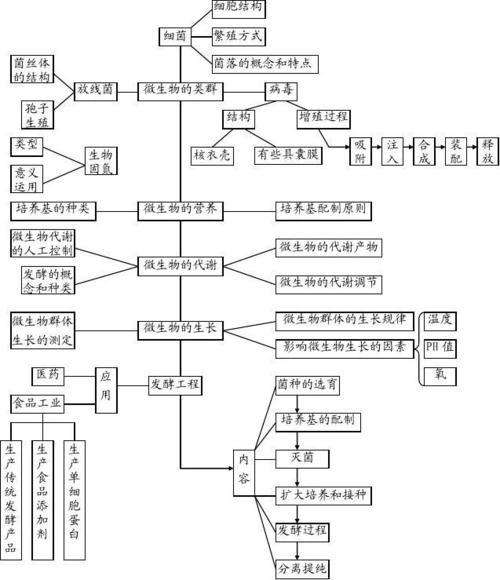 高中生物知识网络体系1