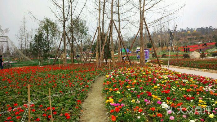 成都百花谷-图片-新都区周边游-大众点评网