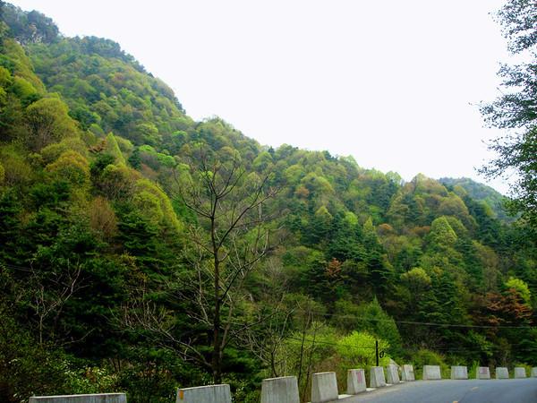 骑行秦岭分水岭,骑行者的驾考路段