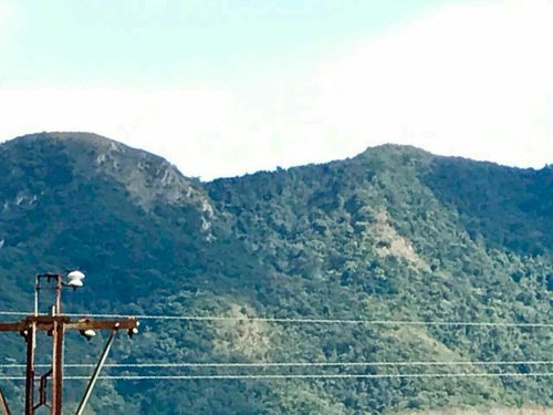 乐东县保国农场毛公山.