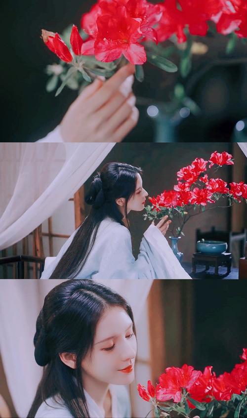 张予曦张予曦古装赞评论更多所有评论你也来说些什么吧