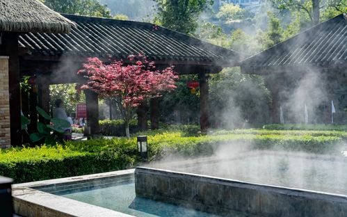 走进统景温泉,入目即绿,大大小小的汤池错落分布,见之可爱.