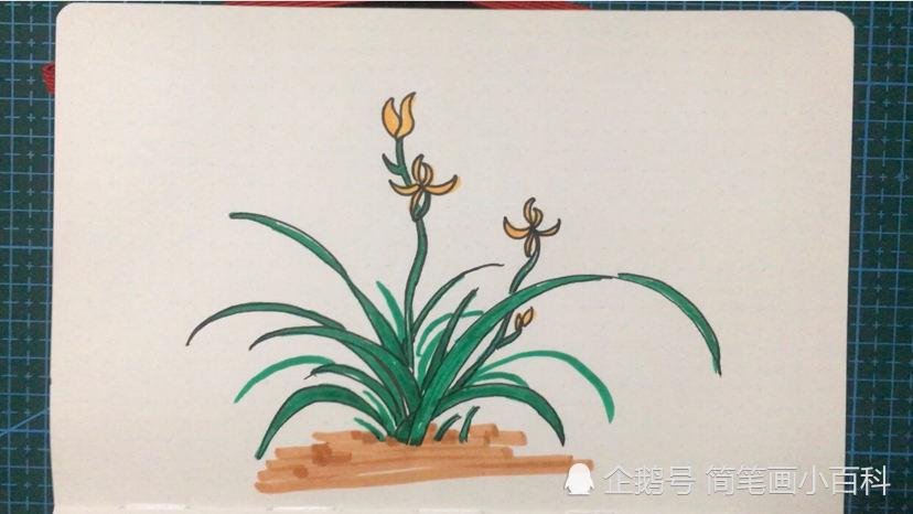 简笔画兰花,画简单好看的画法,记得收藏哦