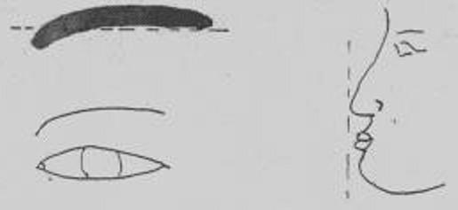 平眉的简笔画