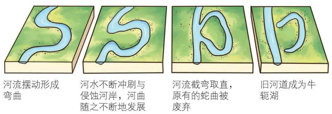 (2)牛轭湖的形成过程.我说的太夸张了?没有没有呢,你来,你来.