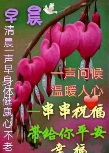 冬天早安心语励志语句分享,非常漂亮的早安祝福语图片