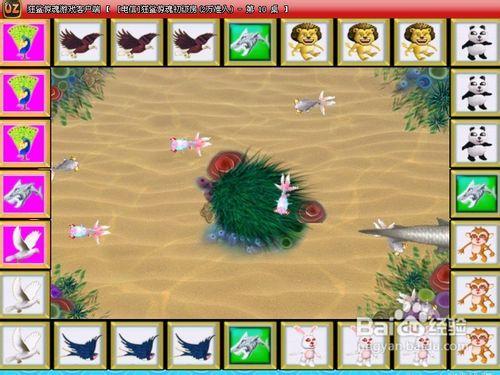 飞禽走兽大白鲨