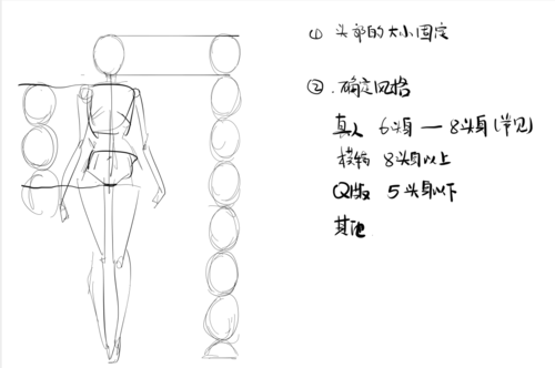 线稿素材适合萌新临摹的绘画形体素材快来领取