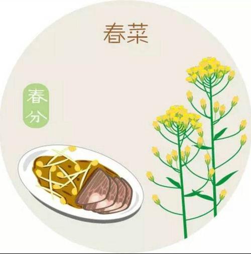 写美篇 春分习俗: 1,吃春菜