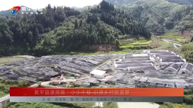 黄平县浪洞镇小小牛蛙引领乡村致富路