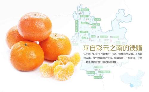 生鲜电商 水果类详情页 - 沃柑