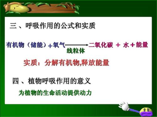 做得很好,推荐下载 三 ,呼吸作用的公式和实质 有机物(储能)  氧气