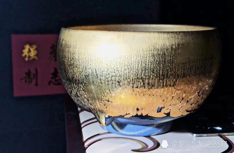 极品金盏蔡志强制