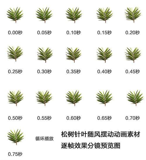 松树叶子简笔画