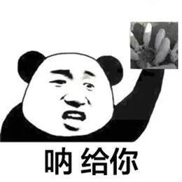 近期超火套路表情包, 快拿去跟朋友皮一下!