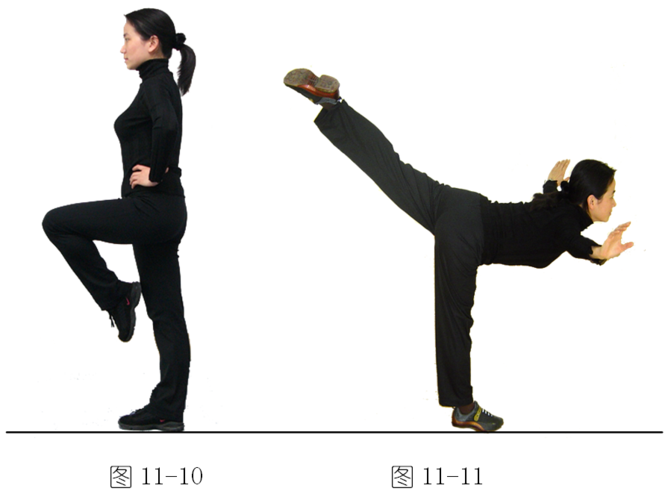 平衡包括提膝平衡,后举腿平衡,燕式平衡,探海平衡,望月平衡.