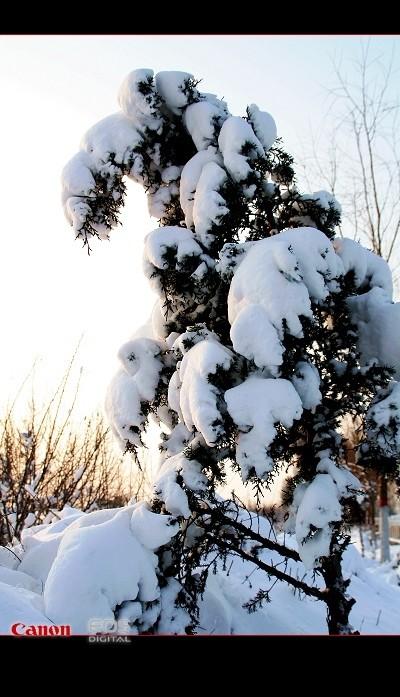 红装素裹 分外妖娆