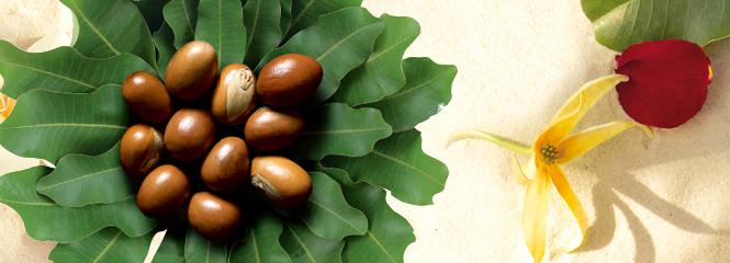 新品上市 | 用了这只小白皂,我的皮肤真的不一样了!