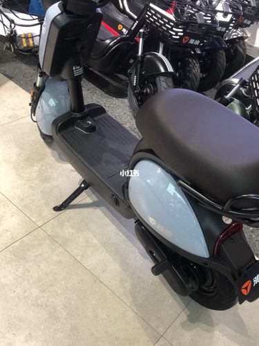 骑上我可爱的小毛驴_电动车_emi怎么样_雅迪怎么样_迷你_奶奶灰_雅迪