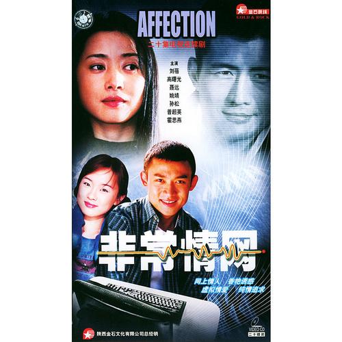 非常情网:二十集电视连续剧(20vcd)