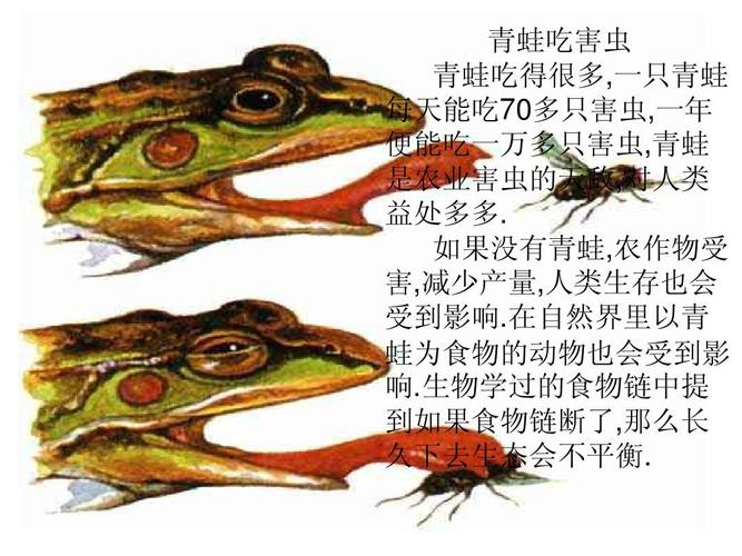 苏教版语文三年级下册习作六