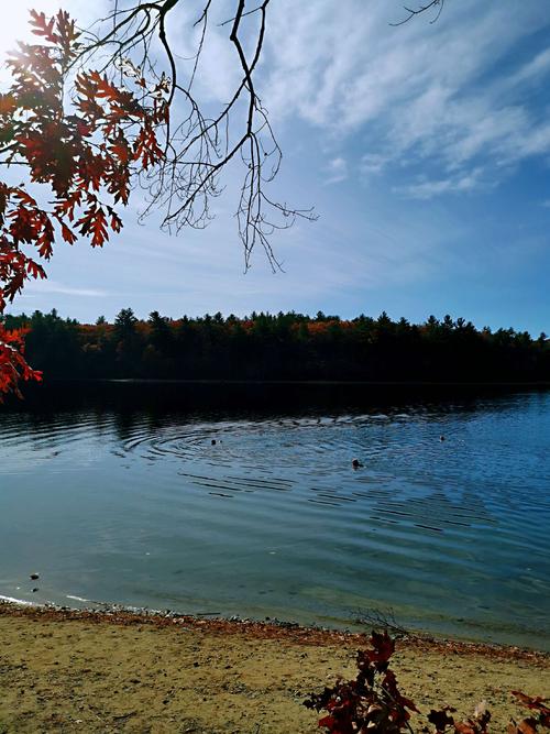 深秋的瓦尔登湖美景