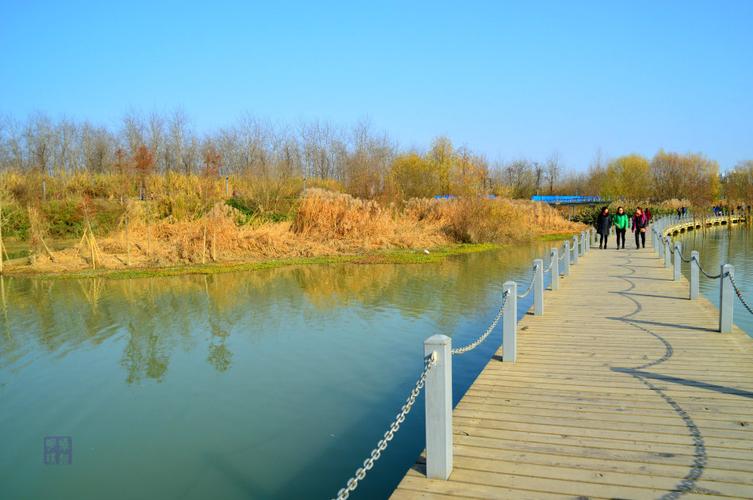 天汉湿地公园冬季美景
