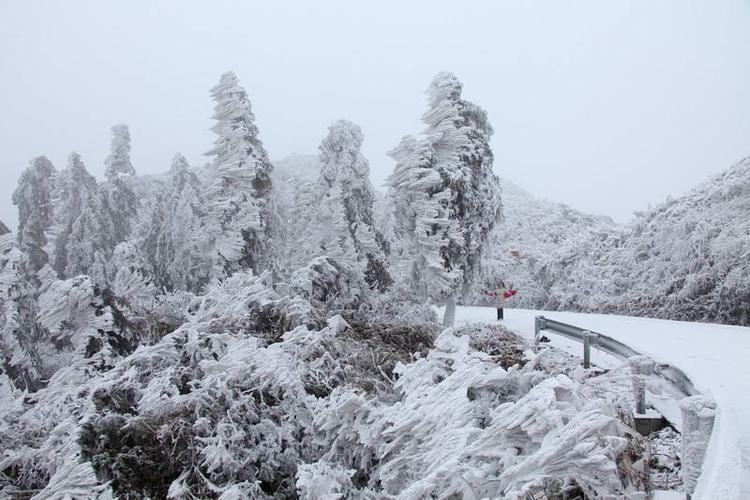 广西哪里可以看雪景?广西哪里下雪?