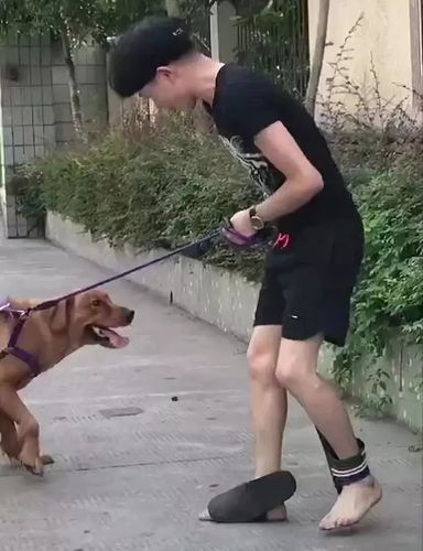 穿拖鞋遛狗被狗狗带着飞奔,拖鞋滑到脚上后赤脚跑步