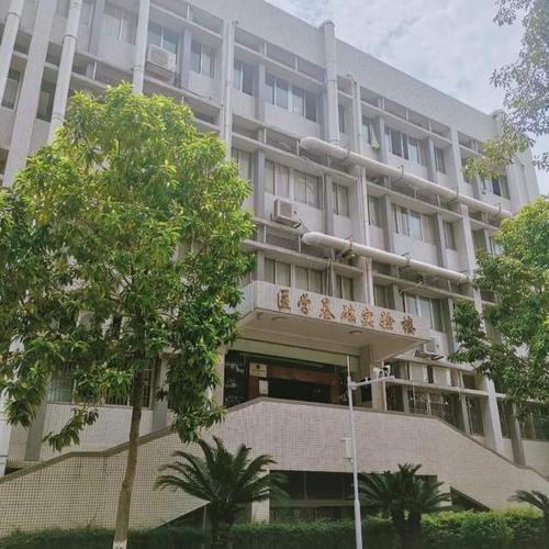 公办本科嘉应学院广东3证书院校介绍