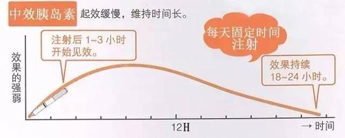 (   ) 中效胰岛素