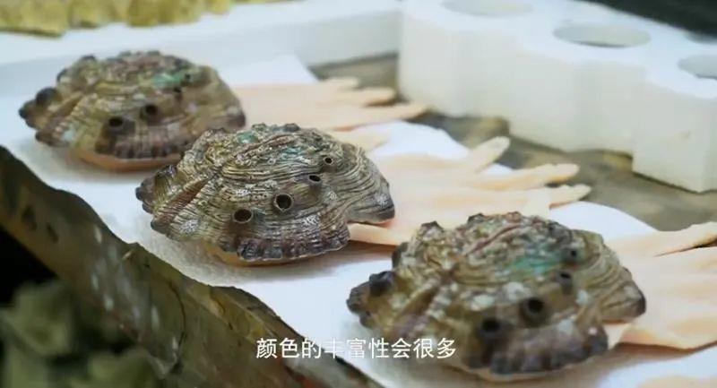 这次,也很凉……   比如这, 人手贝.   墓穴海洋生物.