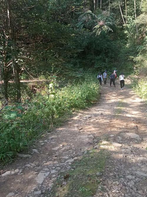 官元山林场—方竹坪—西坑村—仙人石—船埠潭(地图标为船市滩)—官