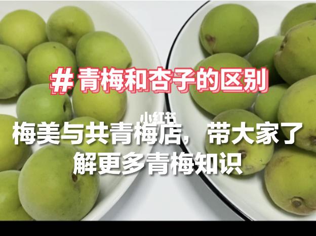 青梅和杏子的区别