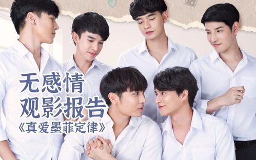 无感情观影报告真爱墨菲定律