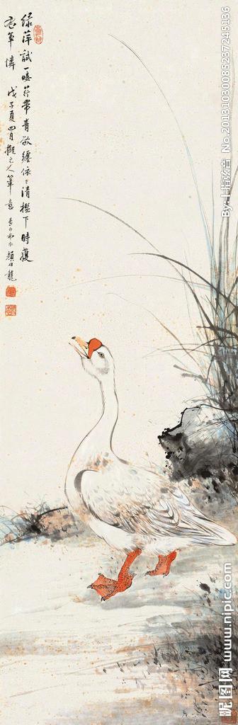 鹅戏图图片