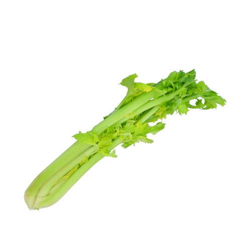 新鲜芹菜实物摄影拍摄