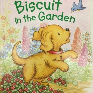 英文小故事(biscuit in the garden)