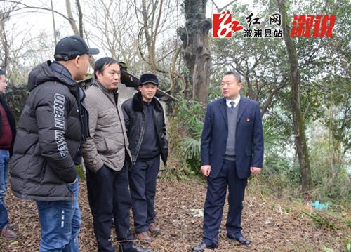 正文 红网溆浦讯(记者 彭丽丽)1月21日,副县长杨日培深入大江口镇指导