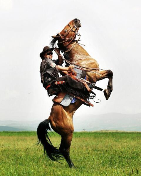 小蒙古马相约2035年手抄报 相约中国梦手抄报