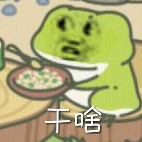 这是我的头像 @茶茶叉猹猹 我是老实人(bu