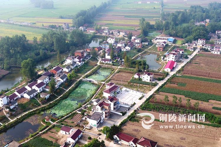 义安区胥坝乡江滨村江滨小区中心村