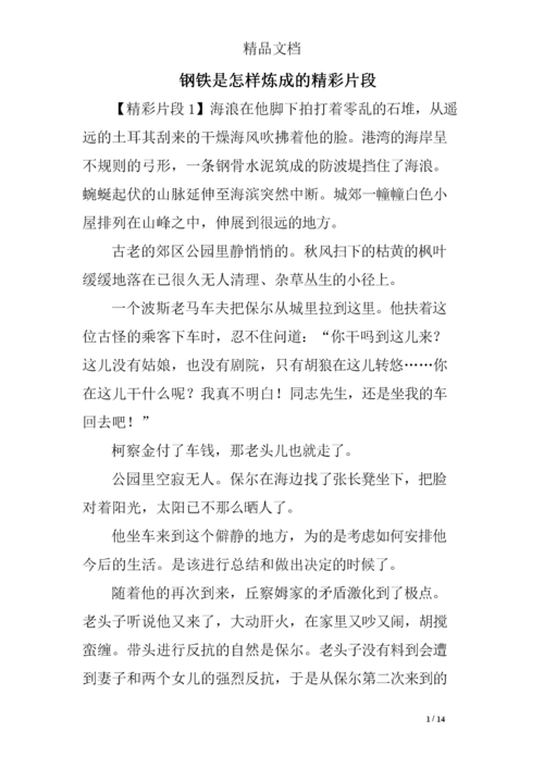 钢铁是怎样炼成的精彩片段 精选.doc