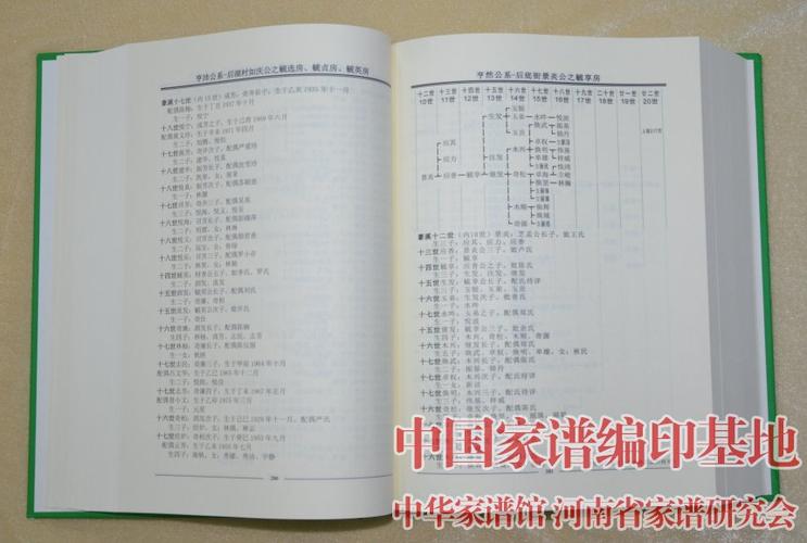 广东省海陆丰豪溪林氏族谱